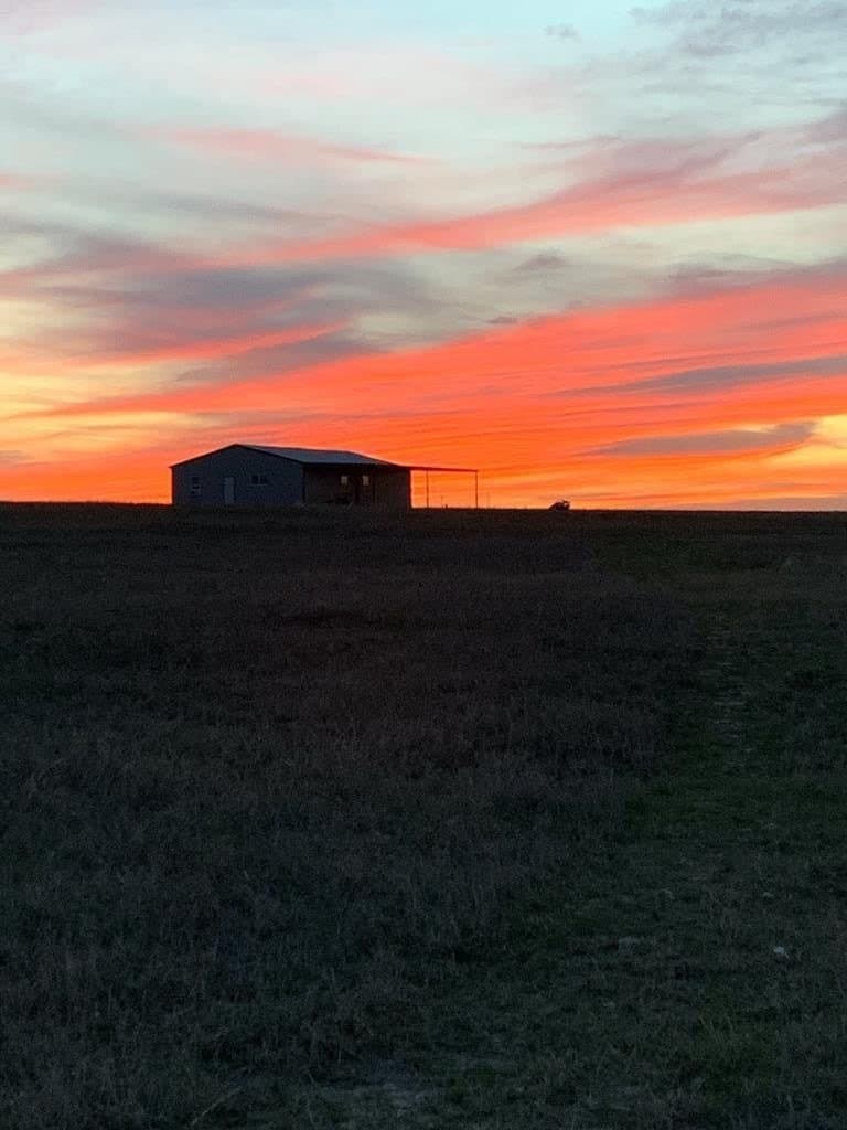 66 acres in Runnels County gallery image 2