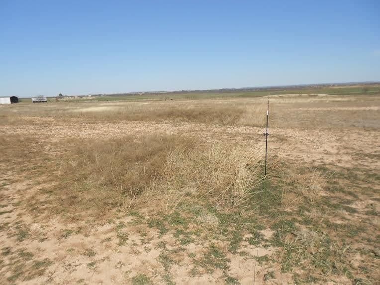 66 acres in Runnels County featured view