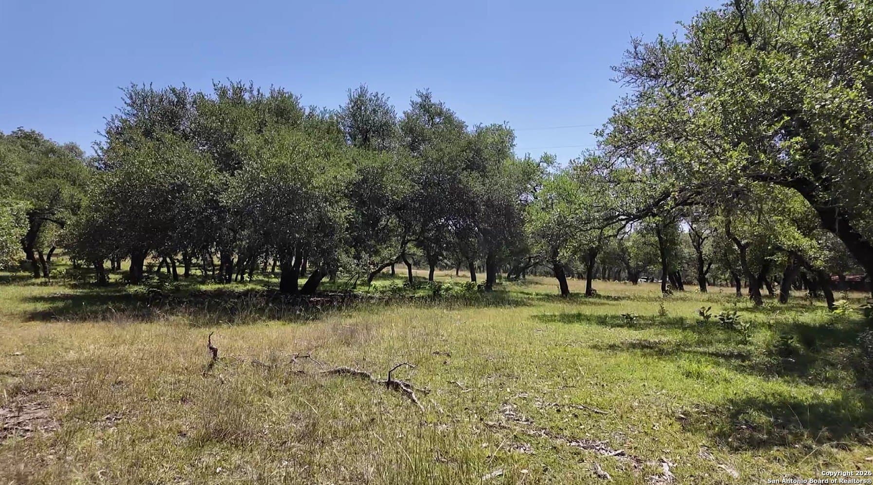 5.82 acres in Gillespie County gallery image 2