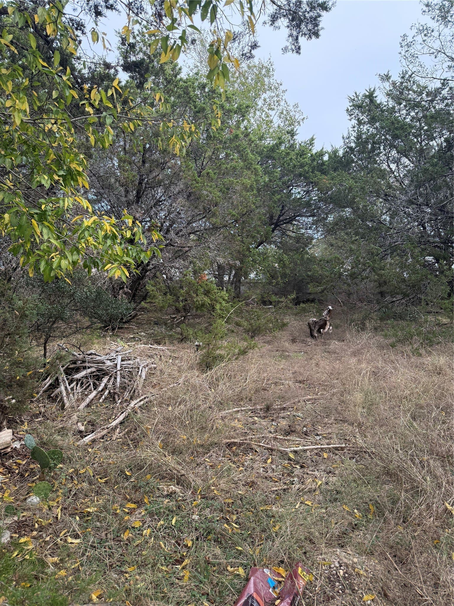 0.1 acres in Bell County - photo 2