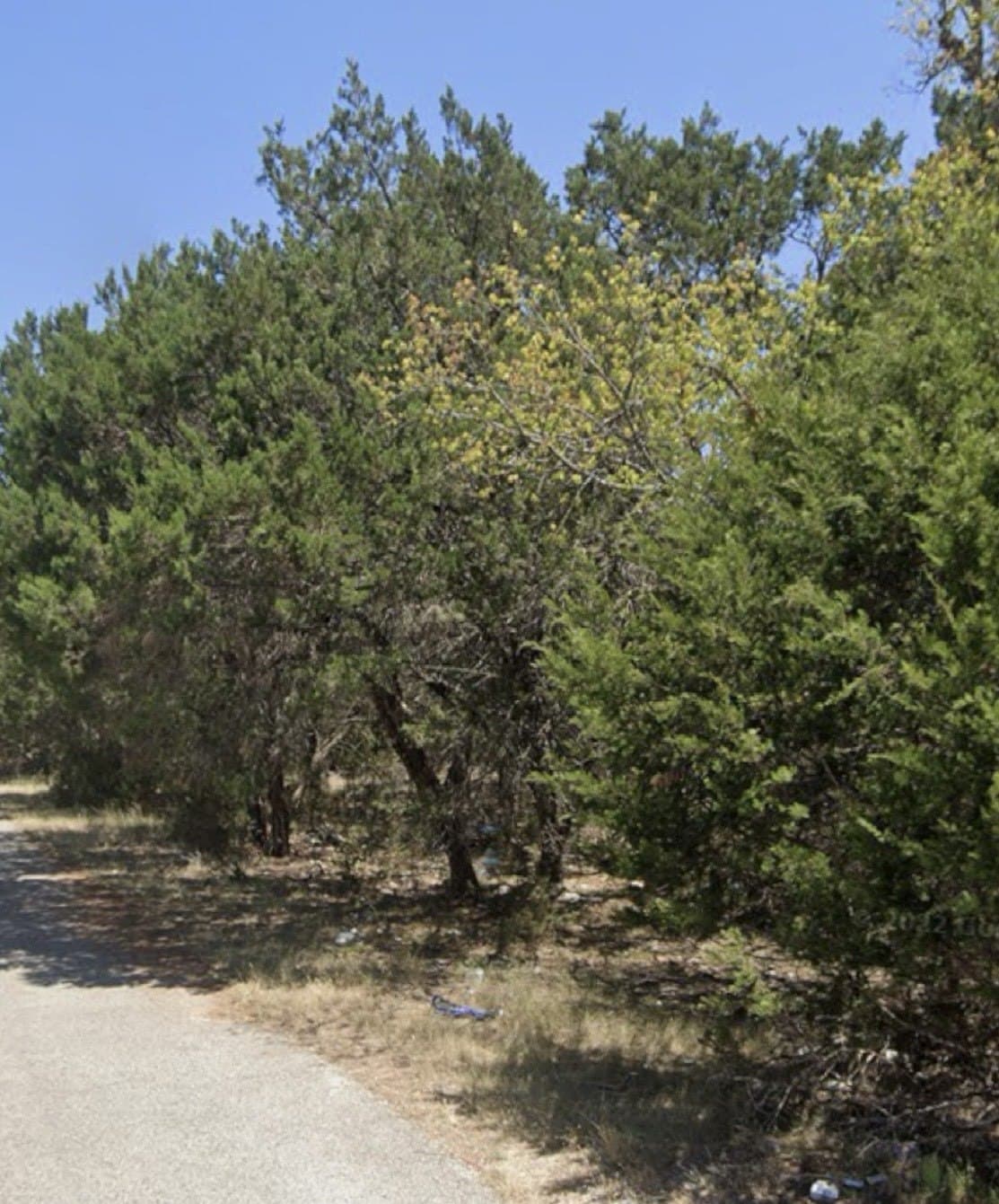 0.1 acres in Bell County - photo 6