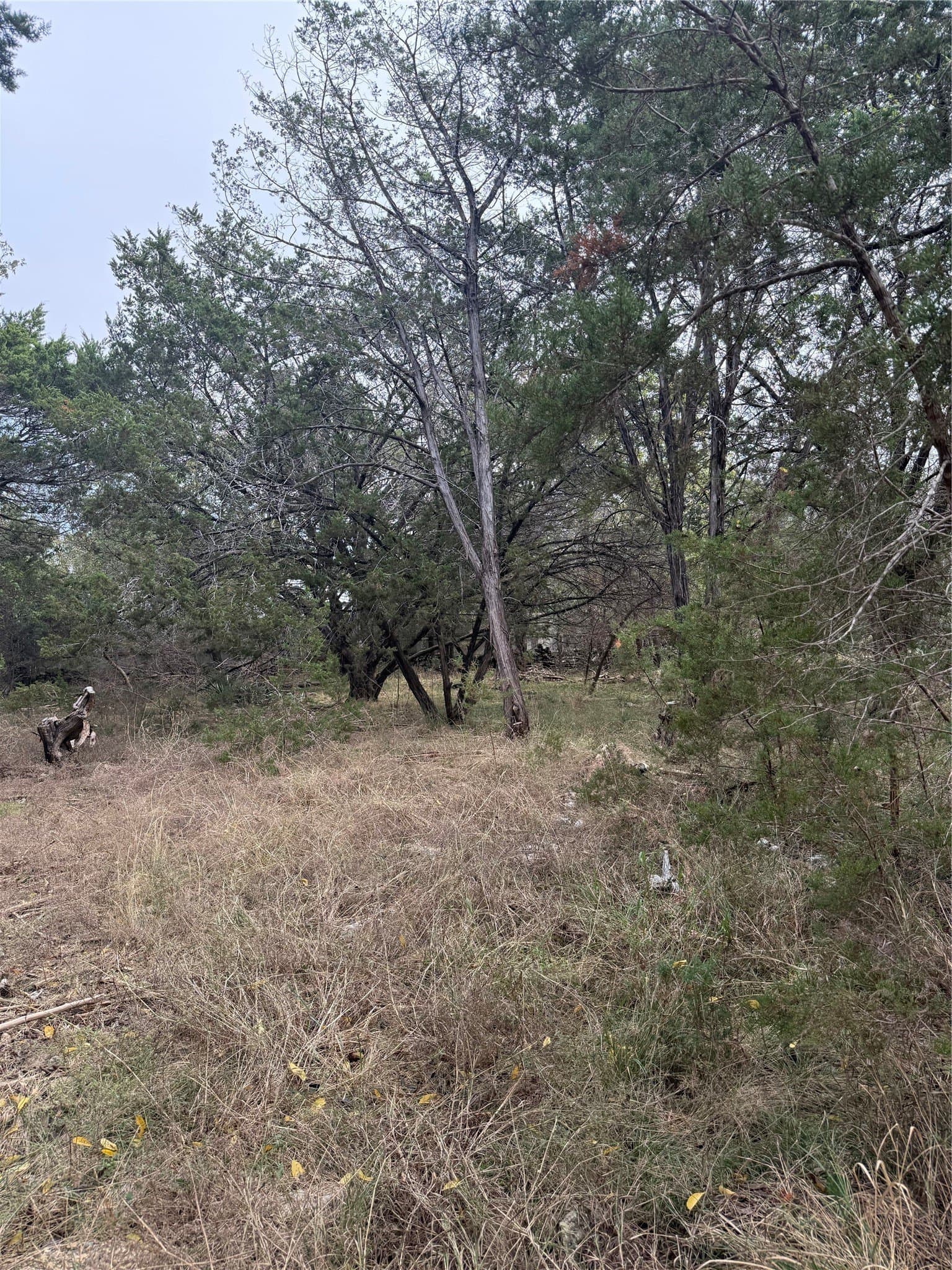 0.1 acres in Bell County - photo 4