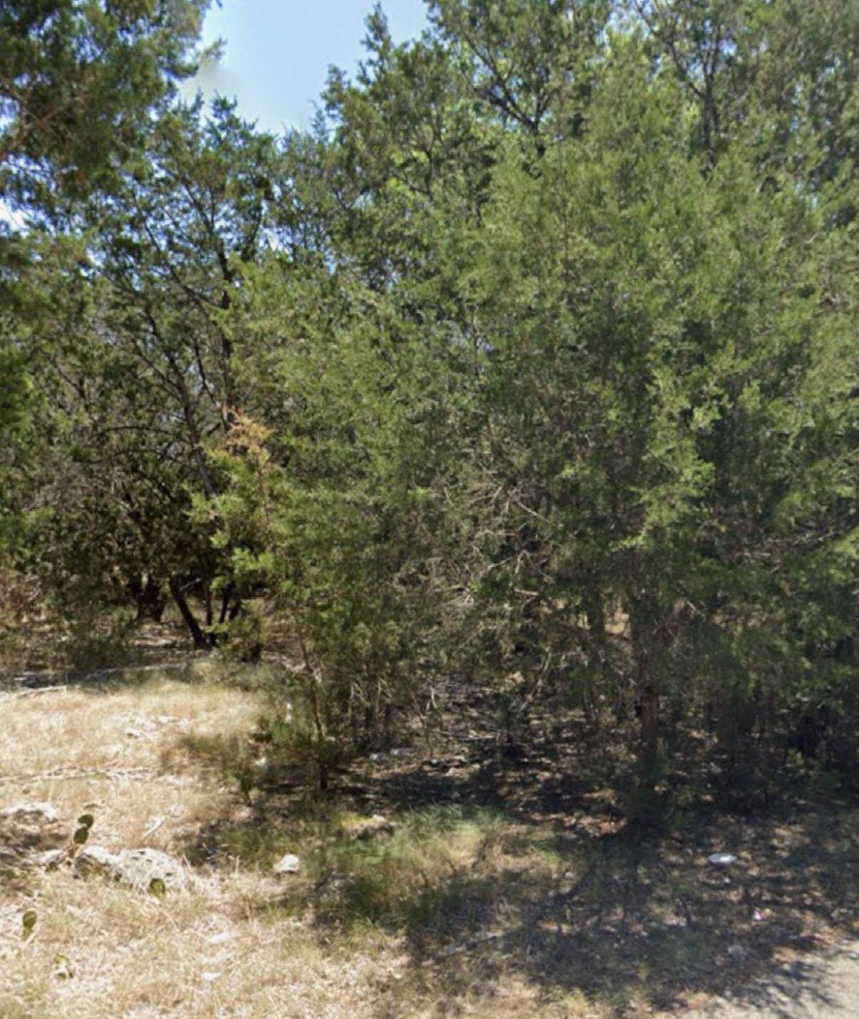 0.1 acres in Bell County - photo 7