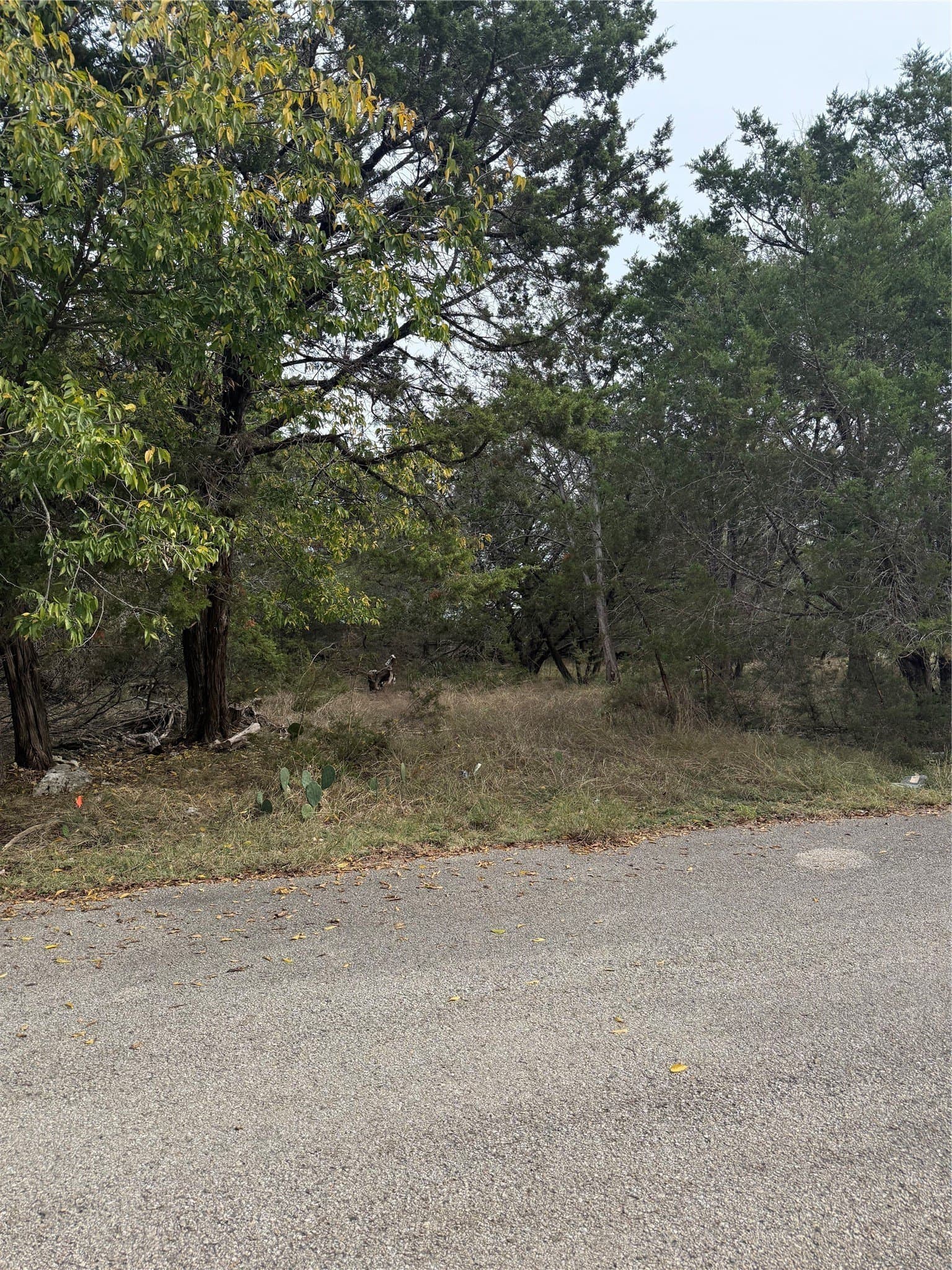 0.1 acres in Bell County