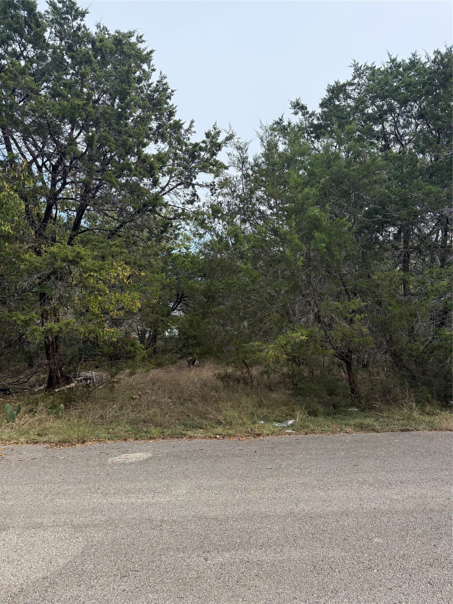 0.1 acres in Bell County - photo 3
