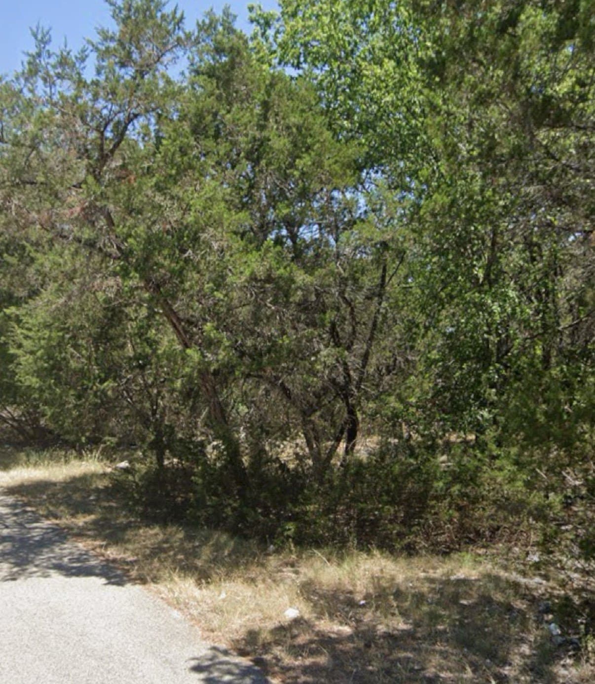 0.1 acres in Bell County - photo 5