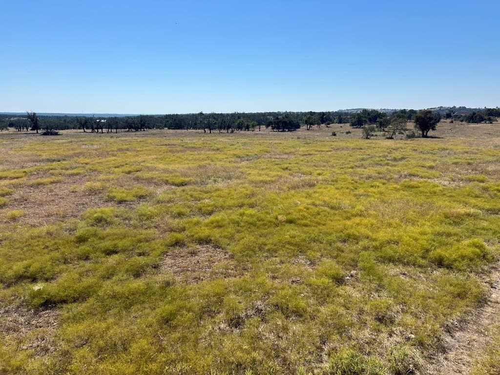 10 acres in Gillespie County gallery image 2