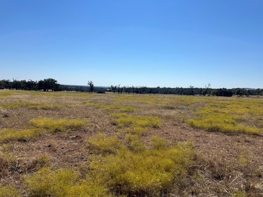 10 acres in Gillespie County featured view