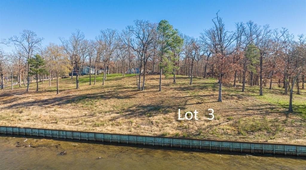 1.07 acres in Camp County gallery image 3
