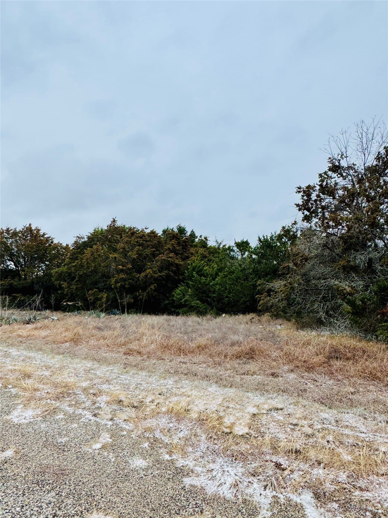 0.11 acres in Hill County gallery image 2