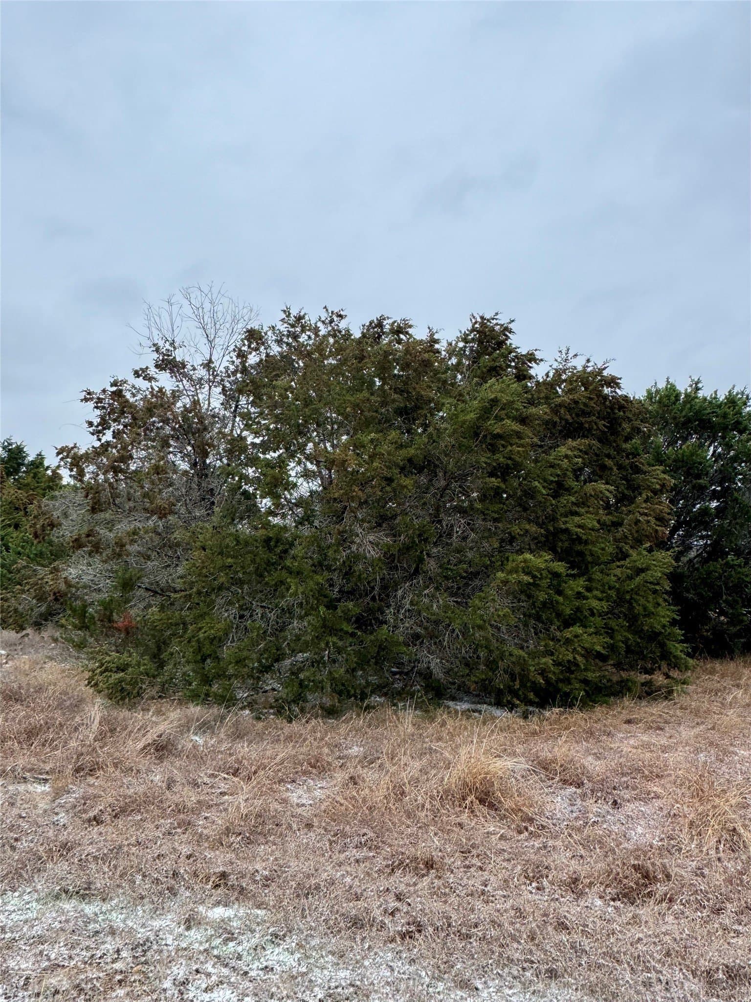 0.11 acres in Hill County gallery image 3