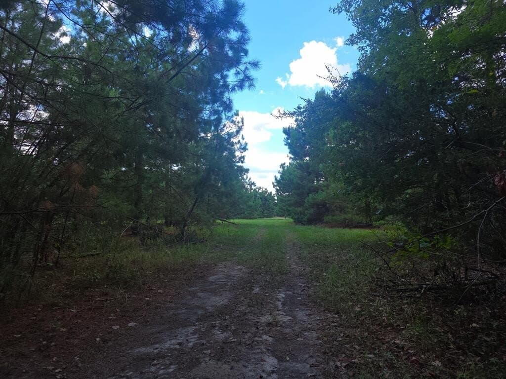 27.82 acres in Texas County - photo 2
