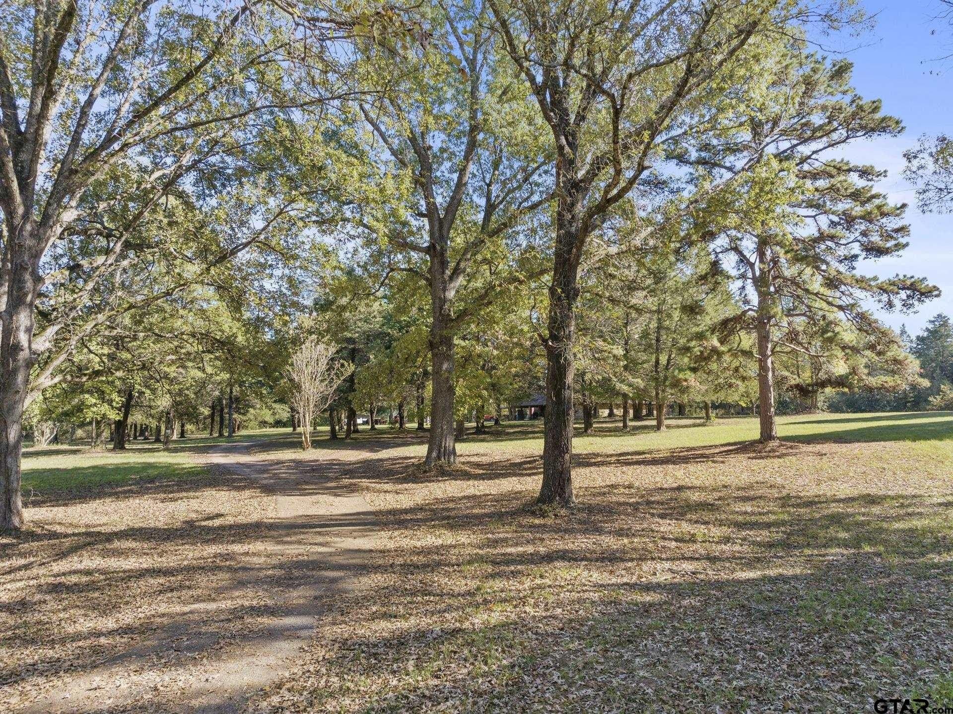 50 acres in Titus County gallery image 2