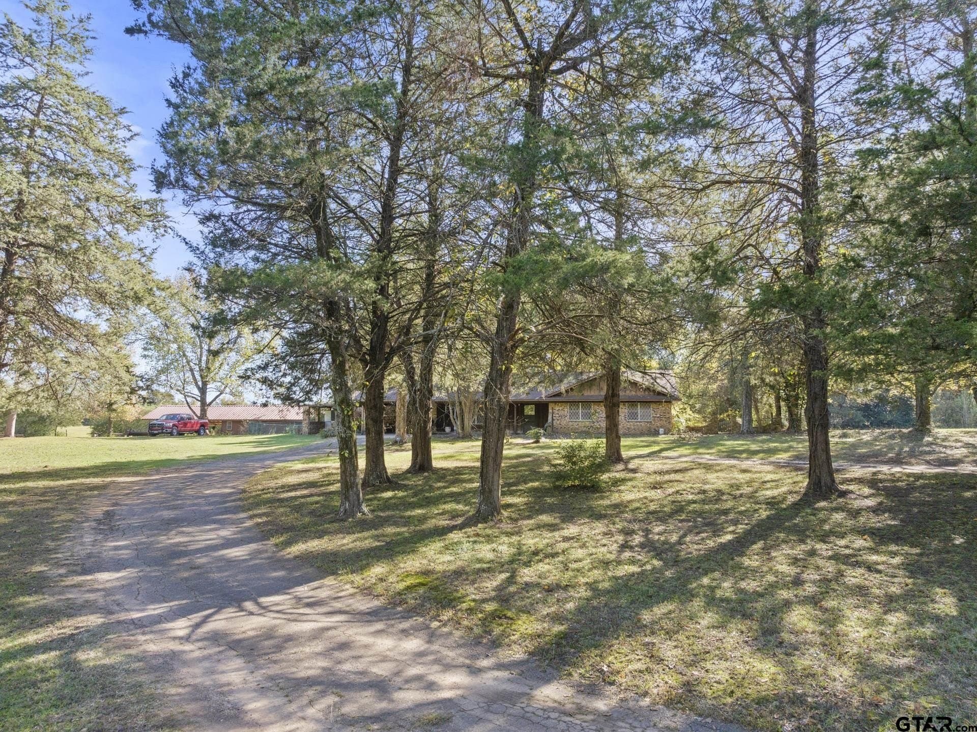 50 acres in Titus County gallery image 3