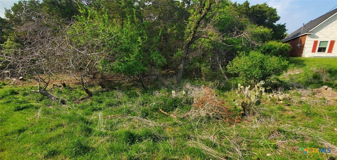 0.34 acres in Bell County gallery image 4