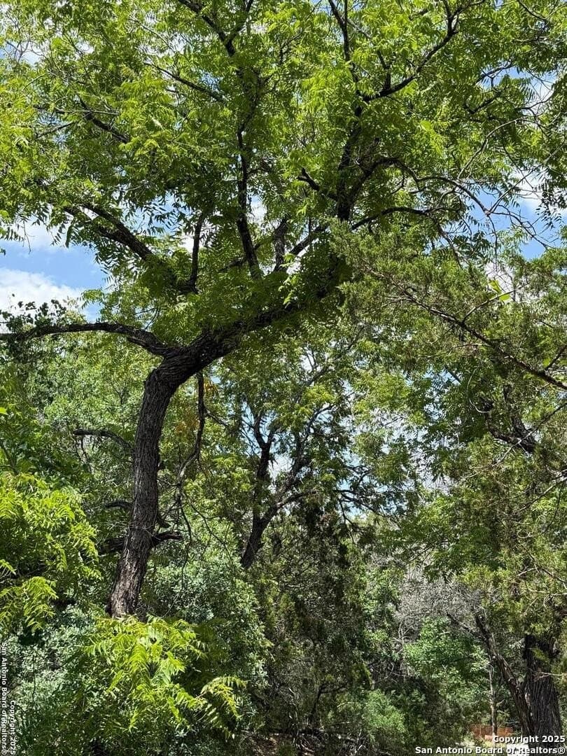 31.77 acres in Bandera County - photo 14