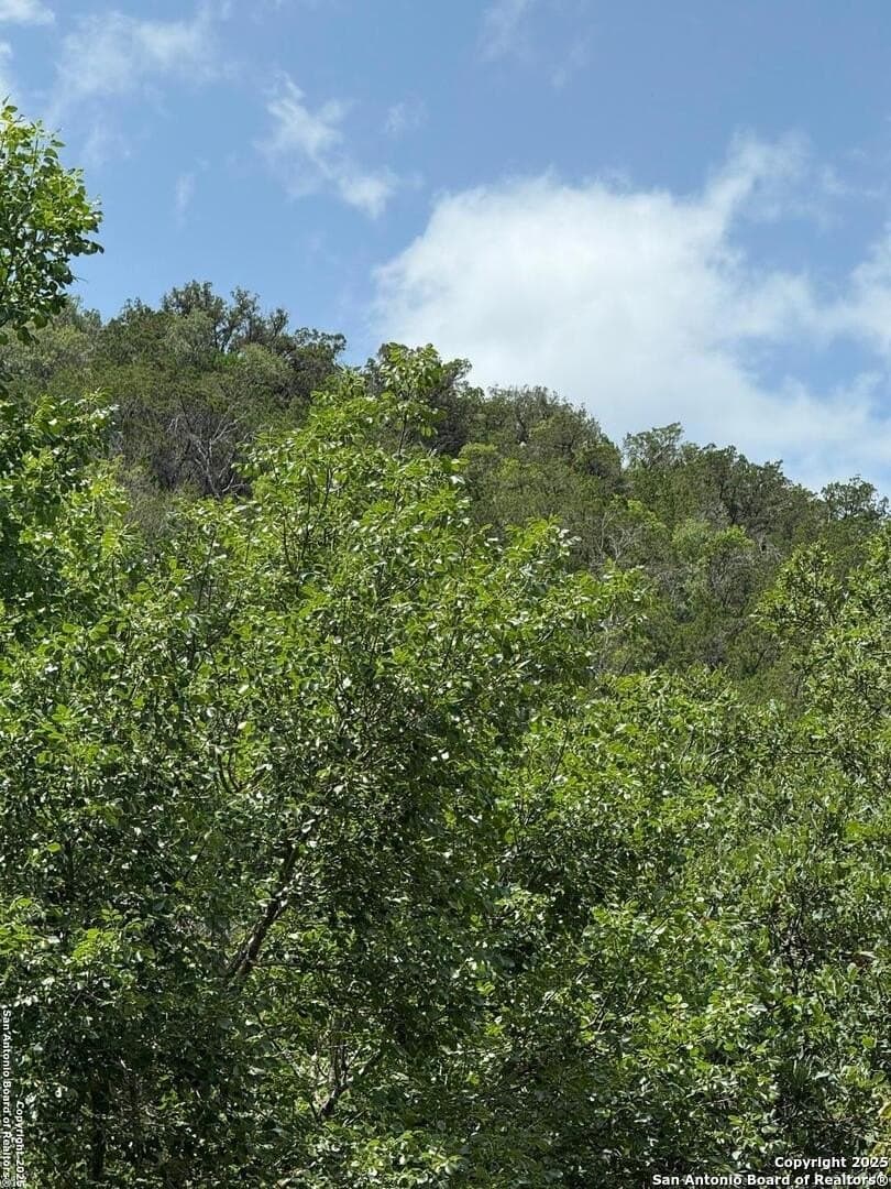 31.77 acres in Bandera County - photo 9