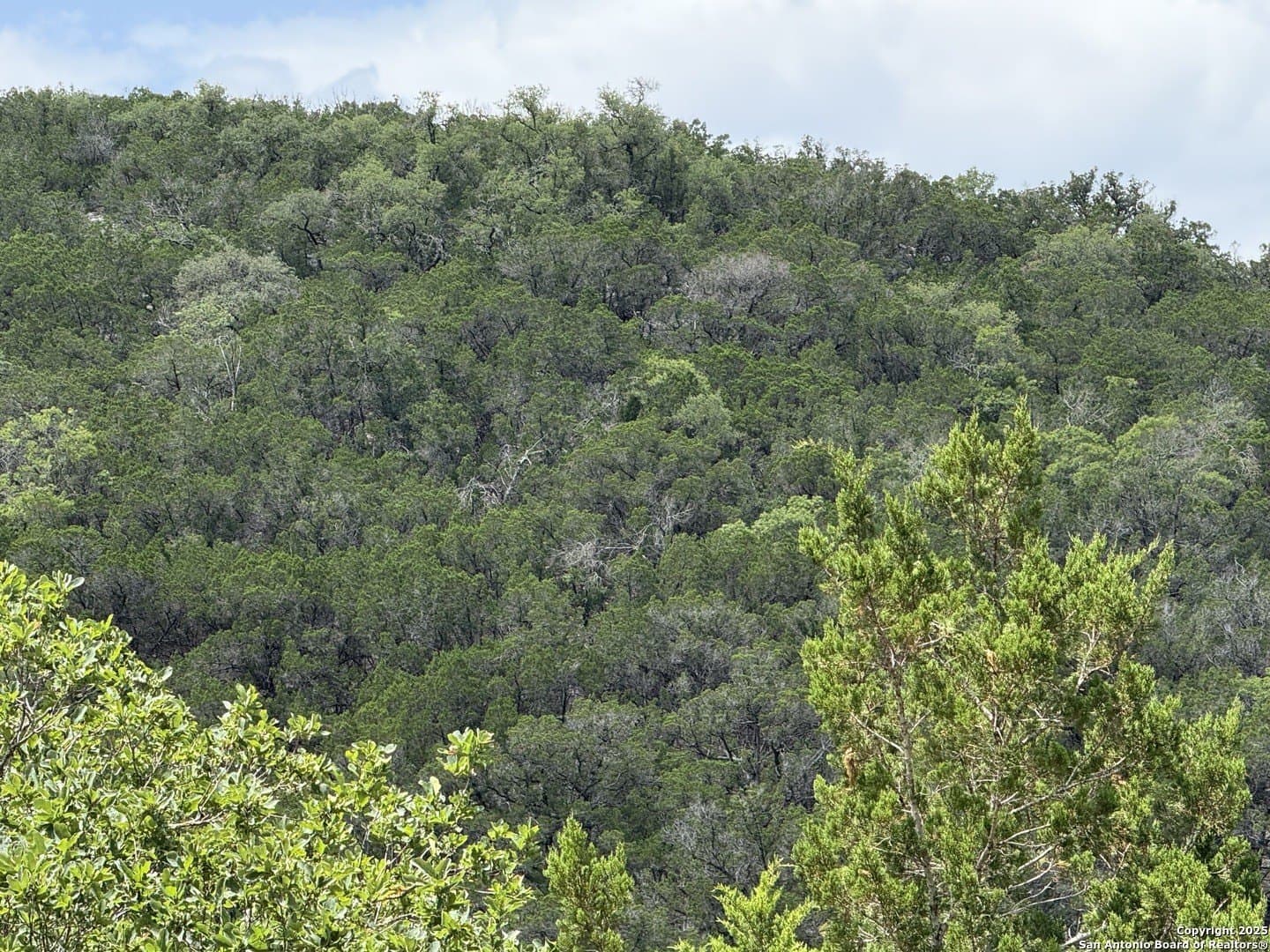 31.77 acres in Bandera County - photo 13