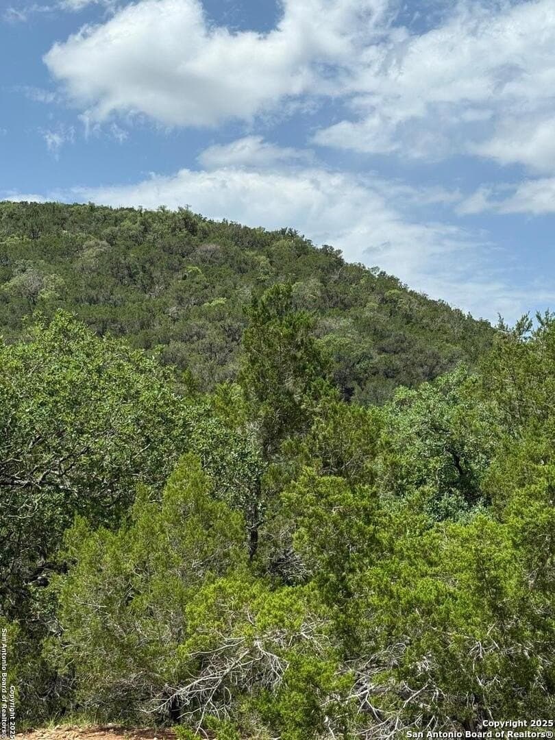 31.77 acres in Bandera County - photo 12