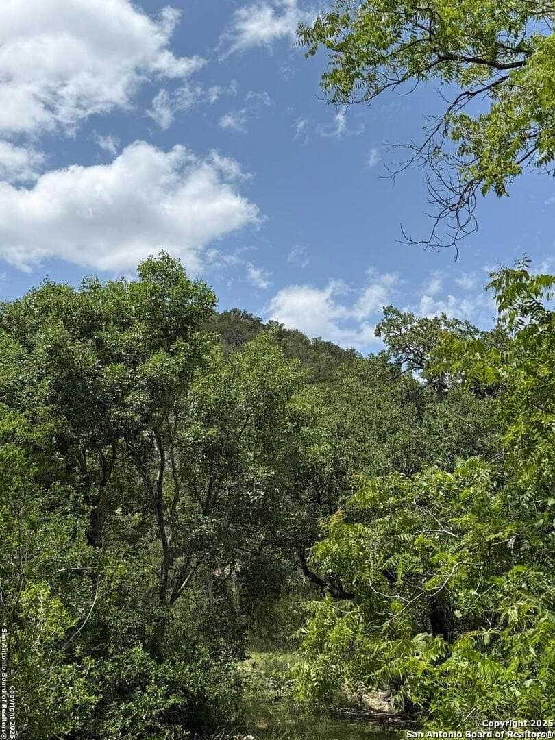 31.77 acres in Bandera County gallery image 4