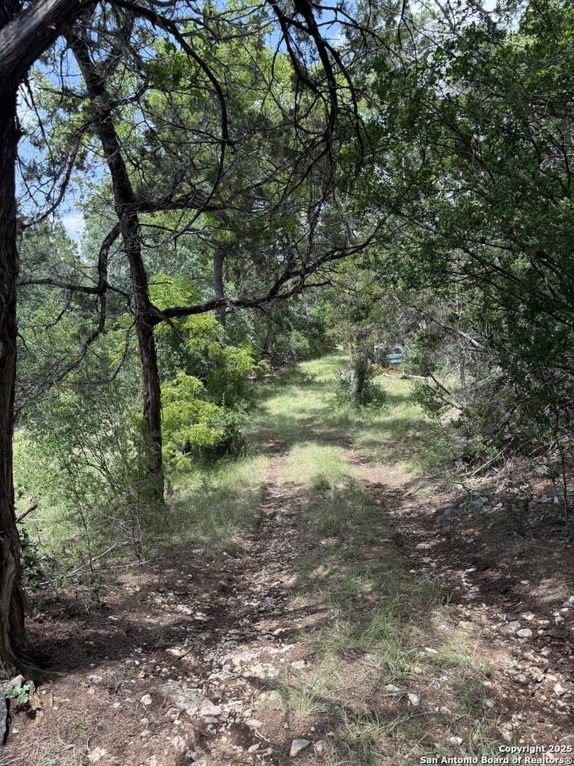 31.77 acres in Bandera County gallery image 3
