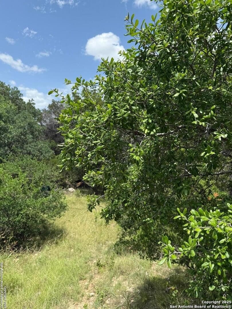 31.77 acres in Bandera County - photo 17