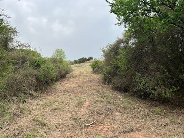 35 acres in Jack County - photo 7