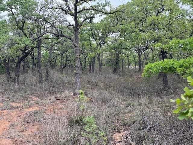 35 acres in Jack County - photo 3