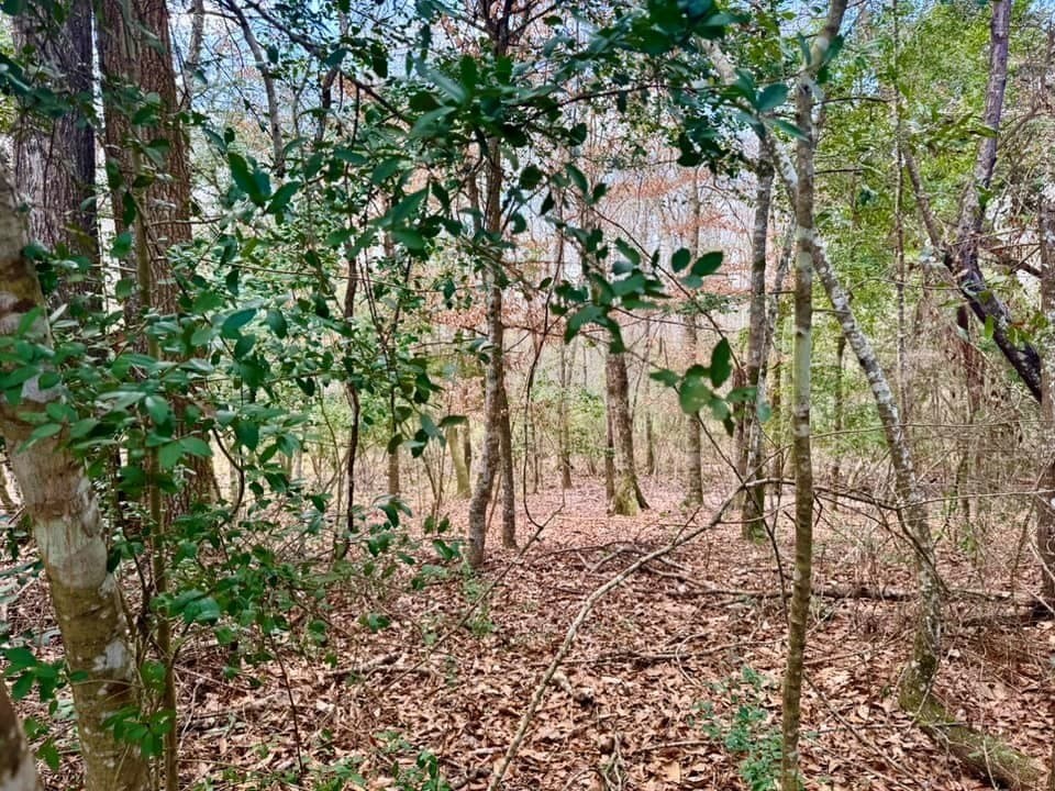 7.72 acres in Texas County - photo 17