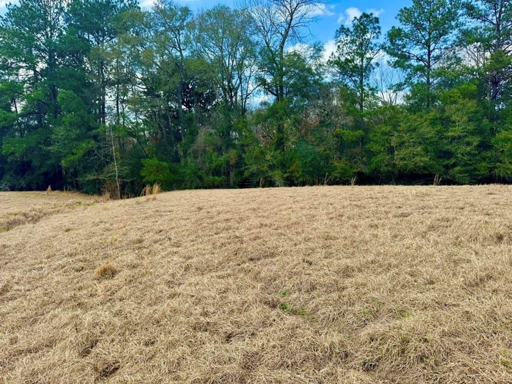 7.72 acres in Texas County - photo 14