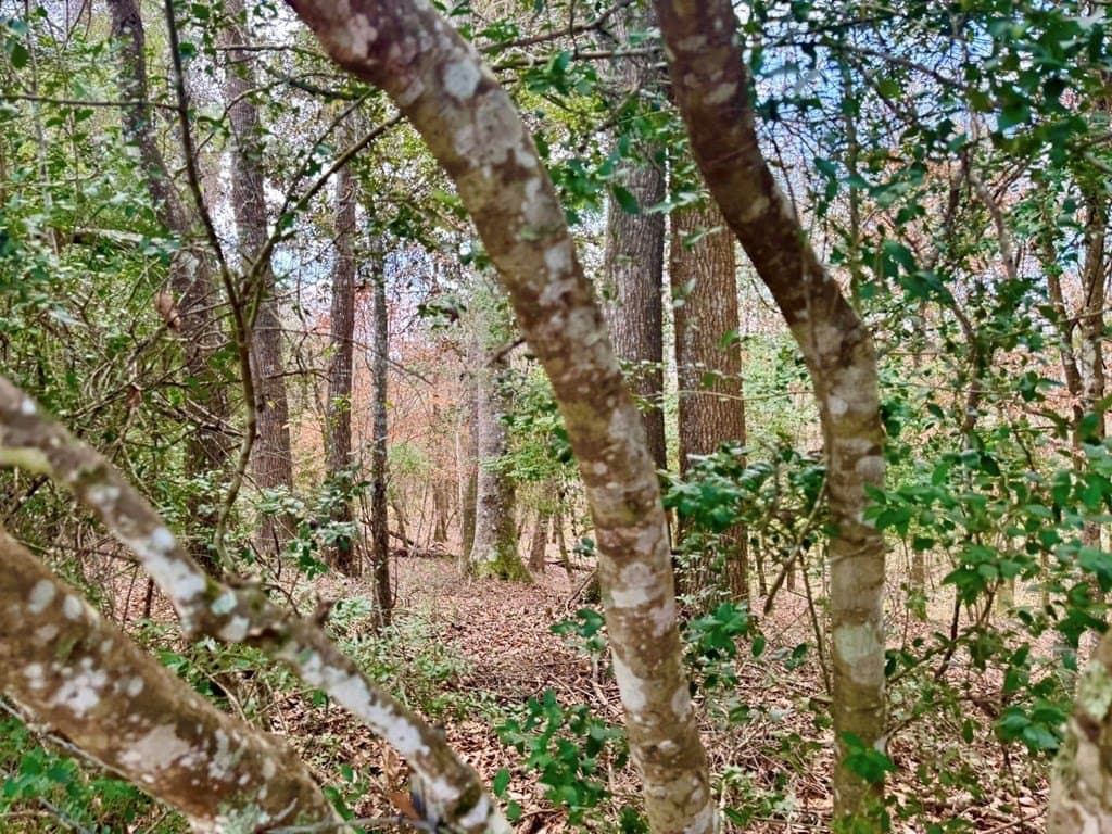 7.72 acres in Texas County - photo 18