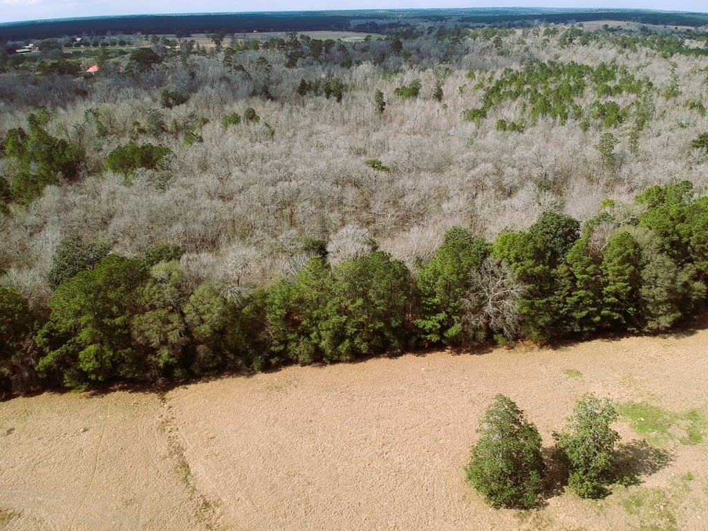 7.72 acres in Texas County featured view