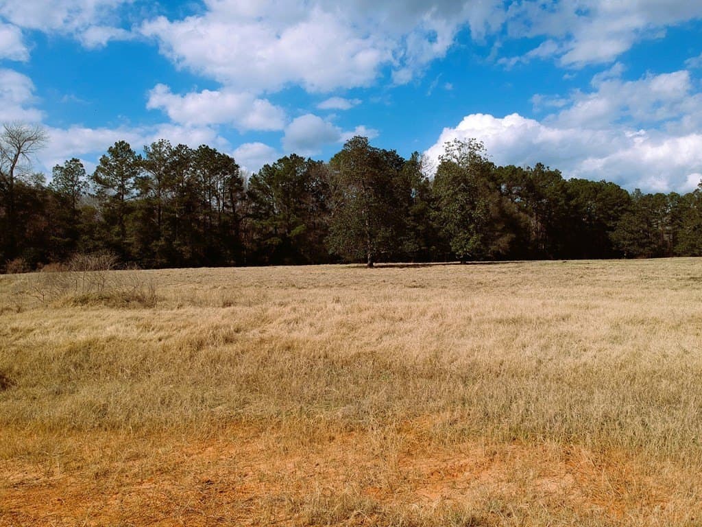 7.72 acres in Texas County - photo 19