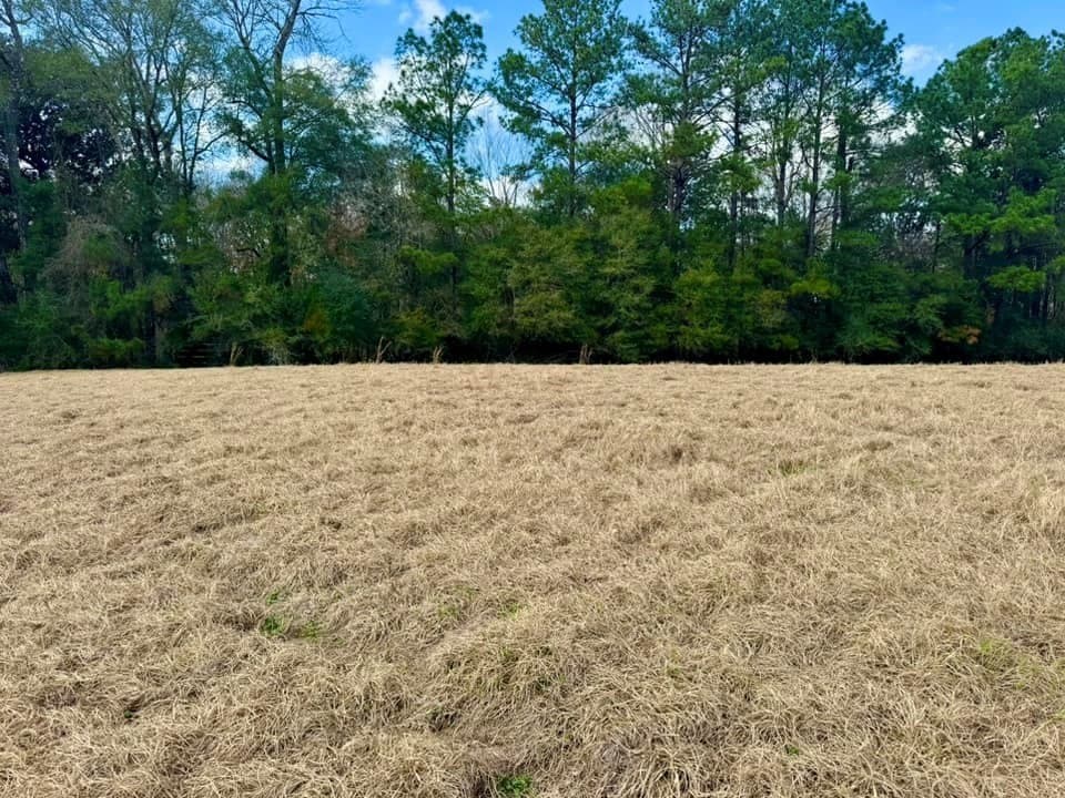7.72 acres in Texas County - photo 16