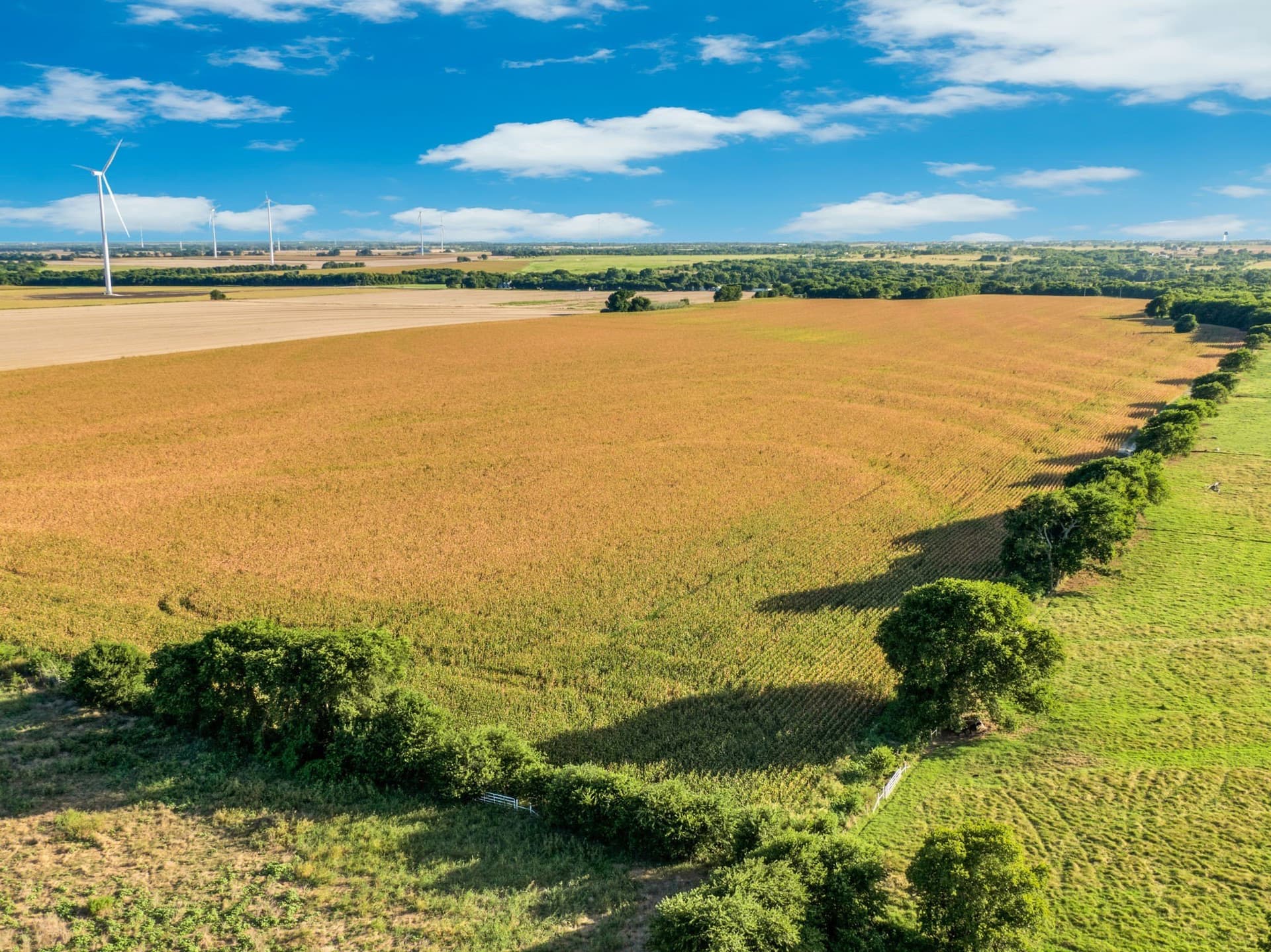 84 acres in Hill County - photo 15
