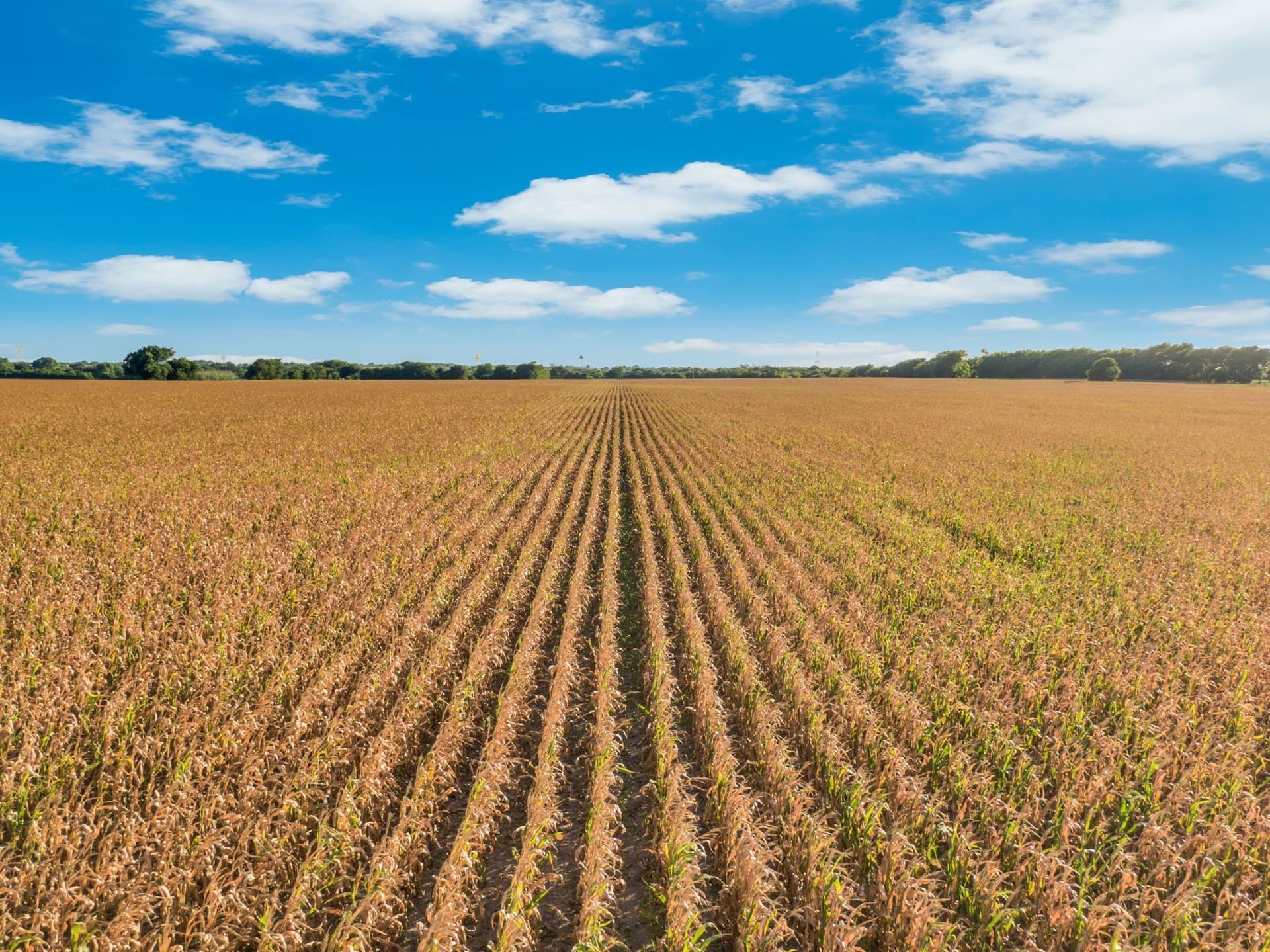 84 acres in Hill County - photo 10