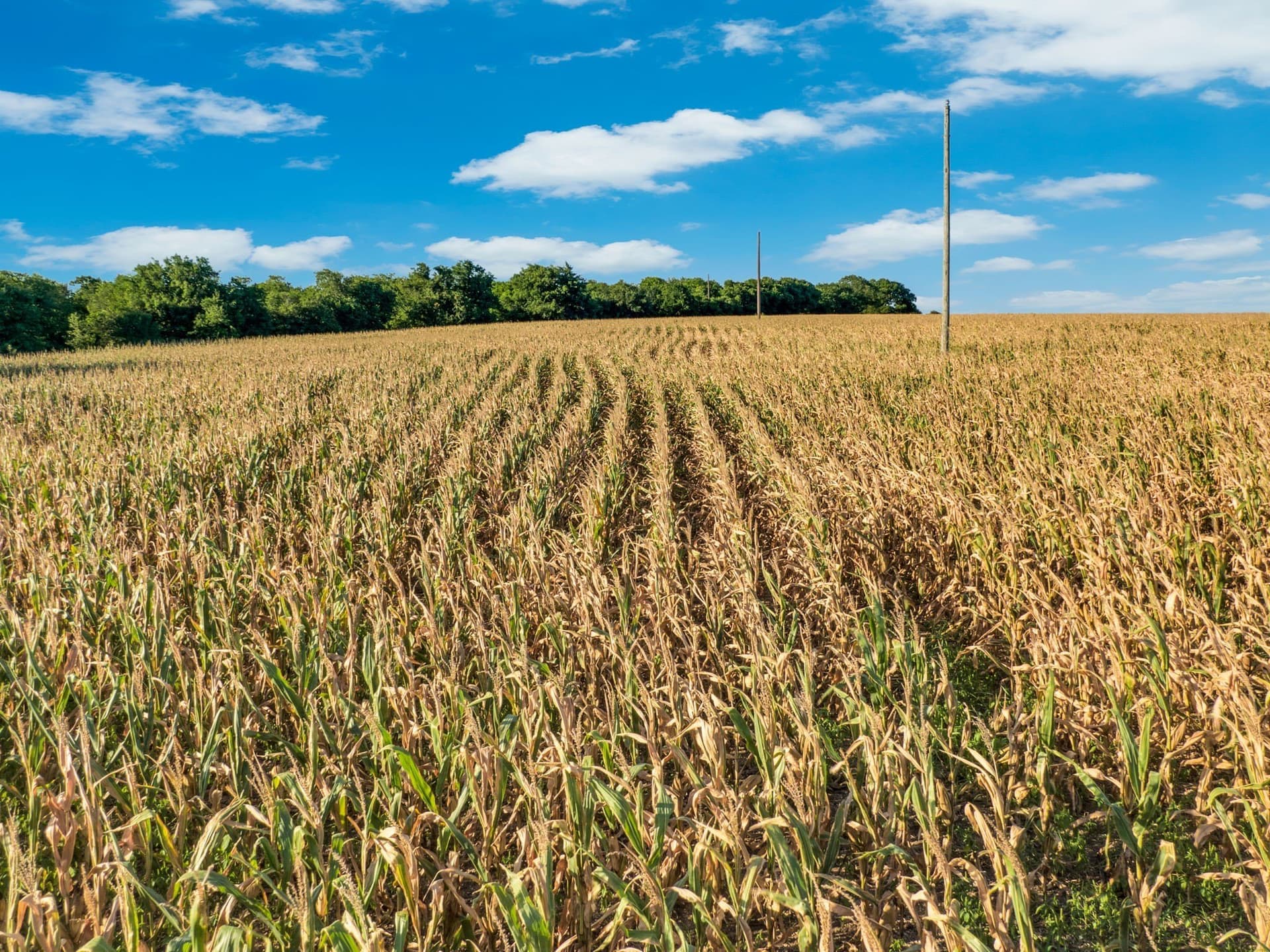 84 acres in Hill County - photo 9