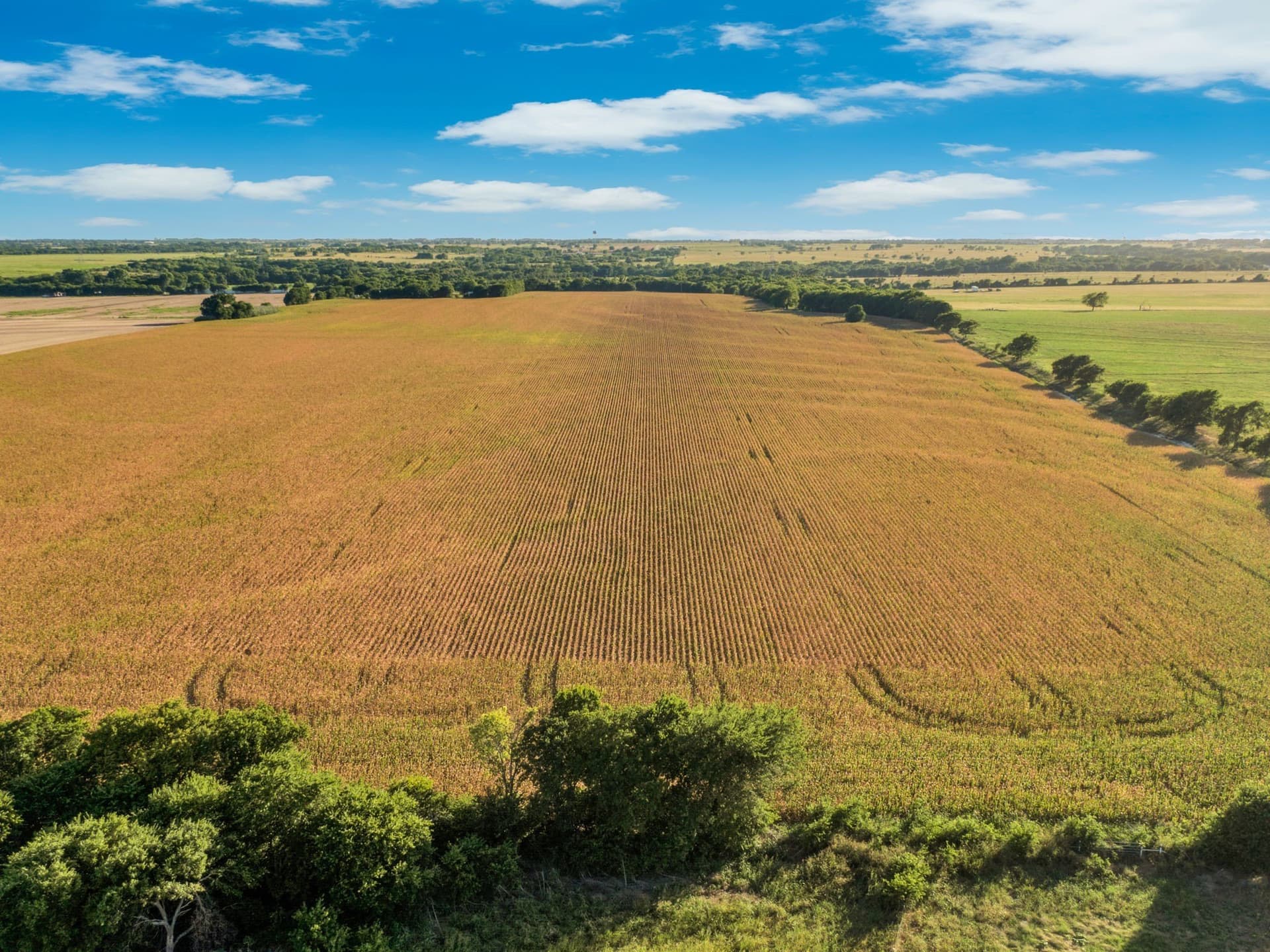 84 acres in Hill County - photo 14
