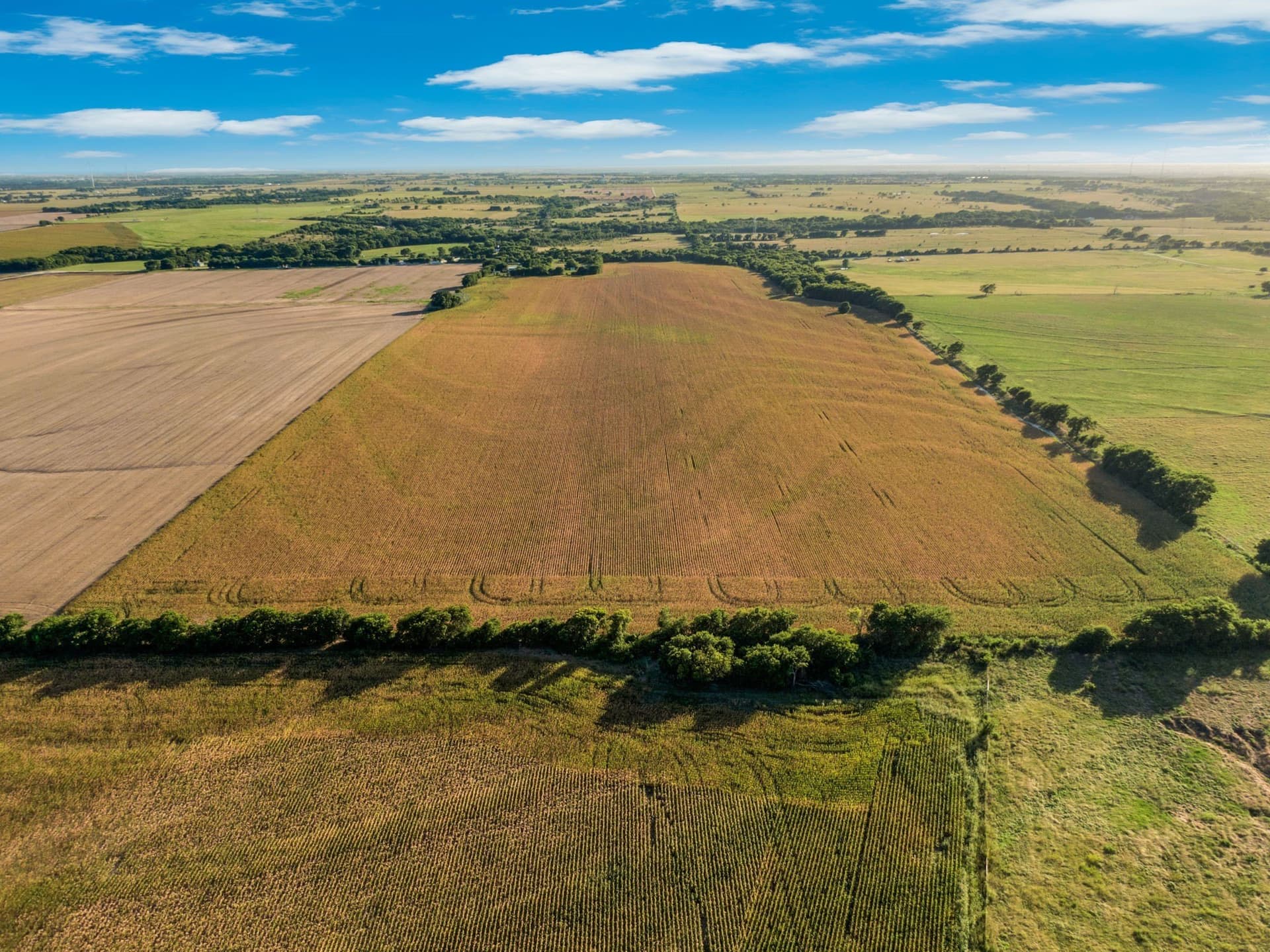 84 acres in Hill County - photo 11