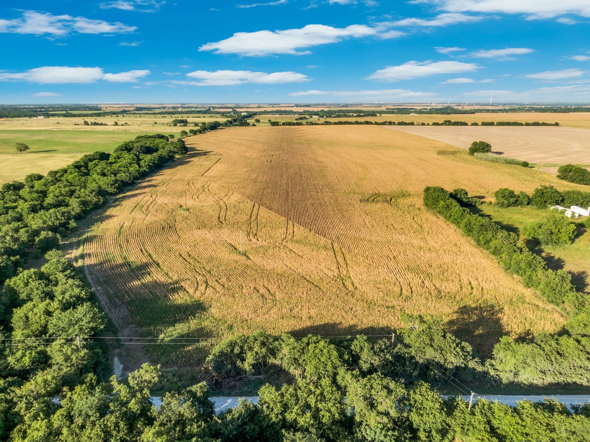 84 acres in Hill County - photo 5