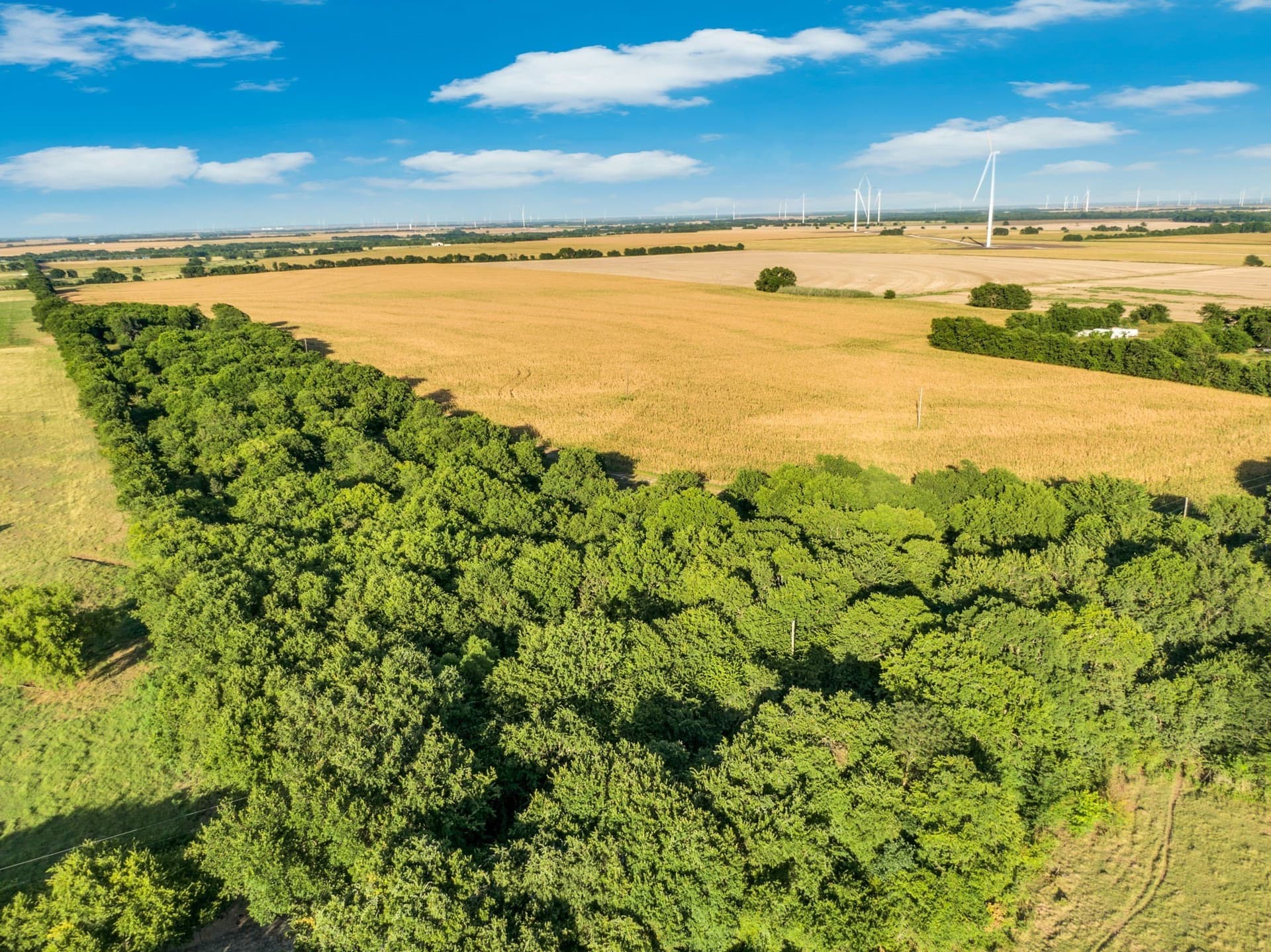 84 acres in Hill County - photo 7