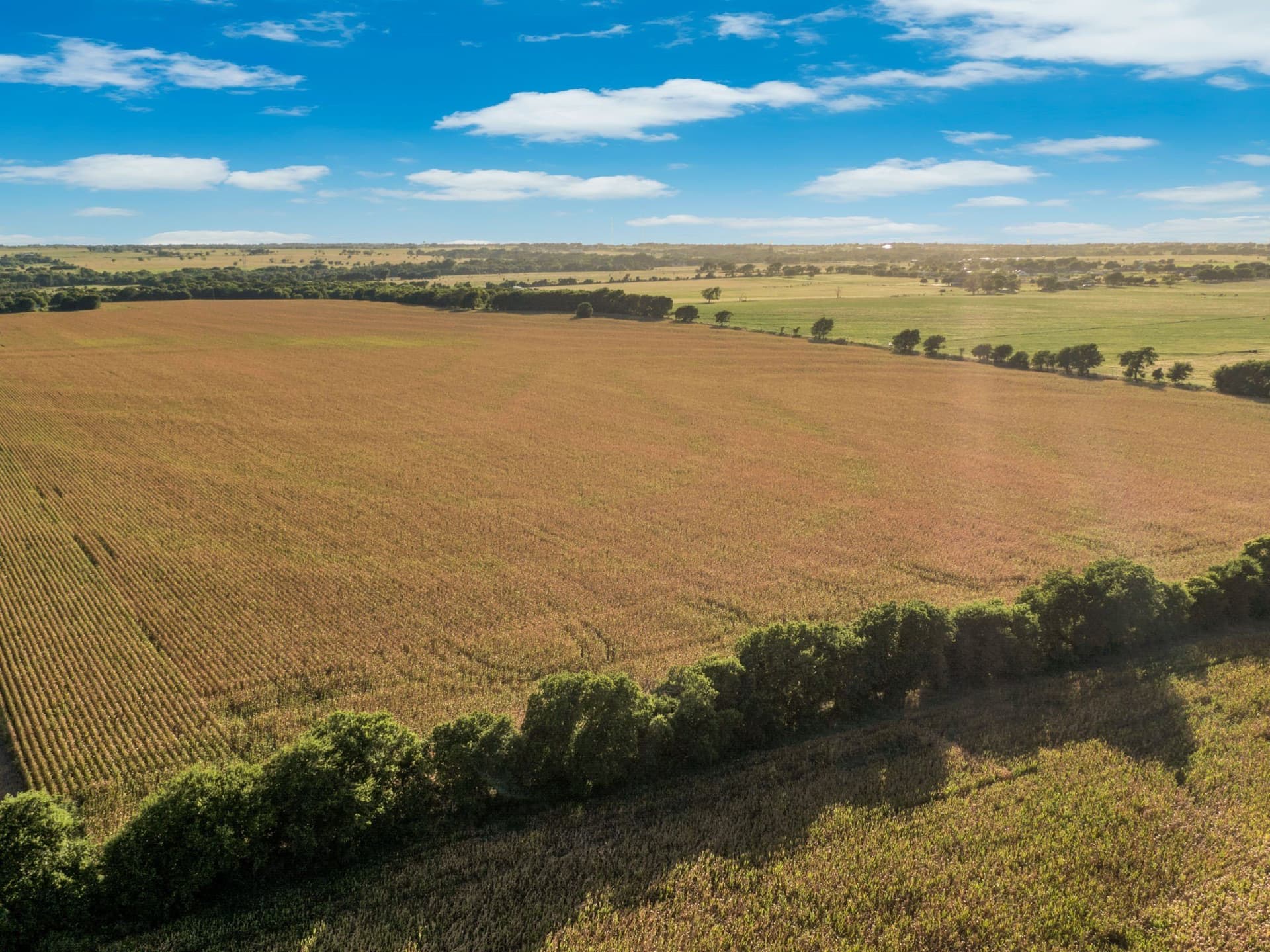 84 acres in Hill County - photo 13