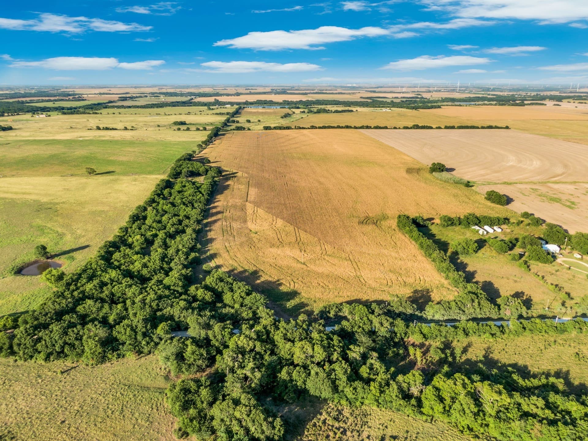 84 acres in Hill County - photo 3