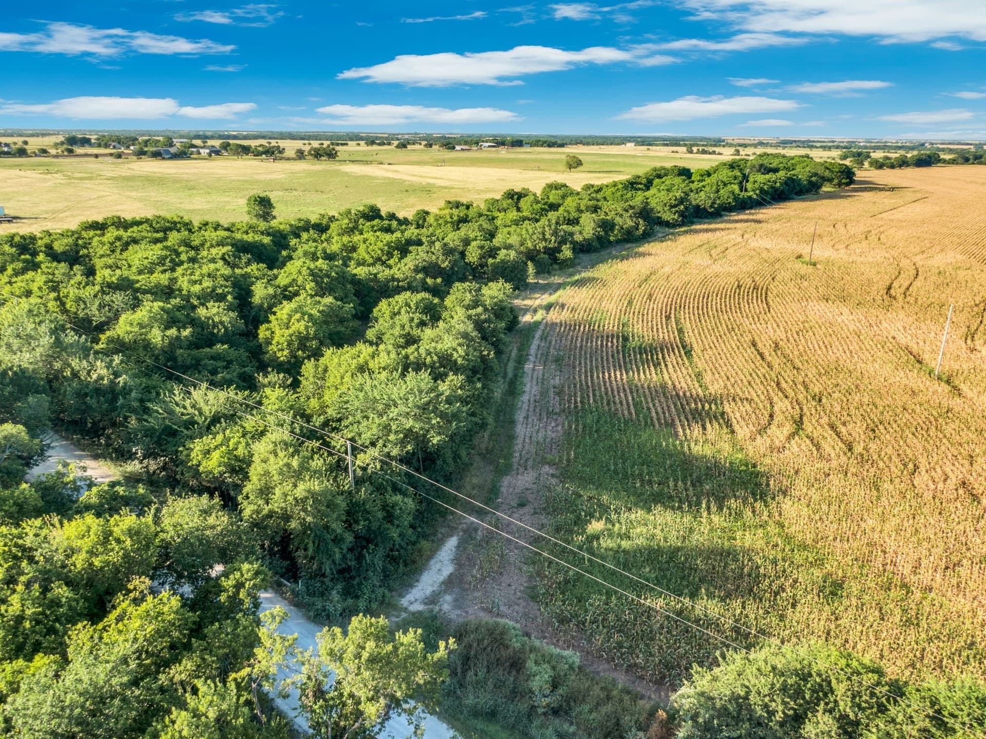 84 acres in Hill County - photo 6