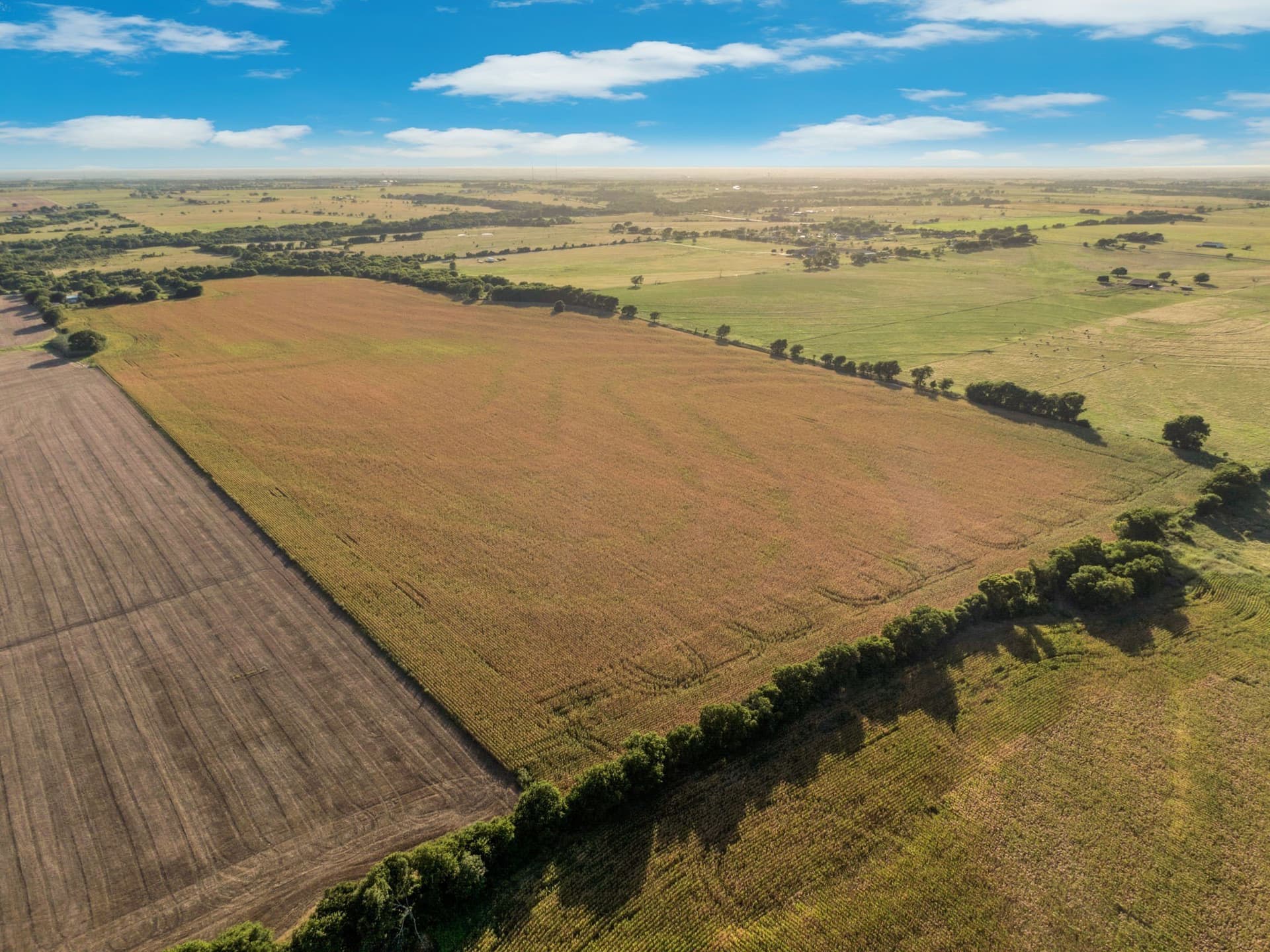 84 acres in Hill County - photo 12