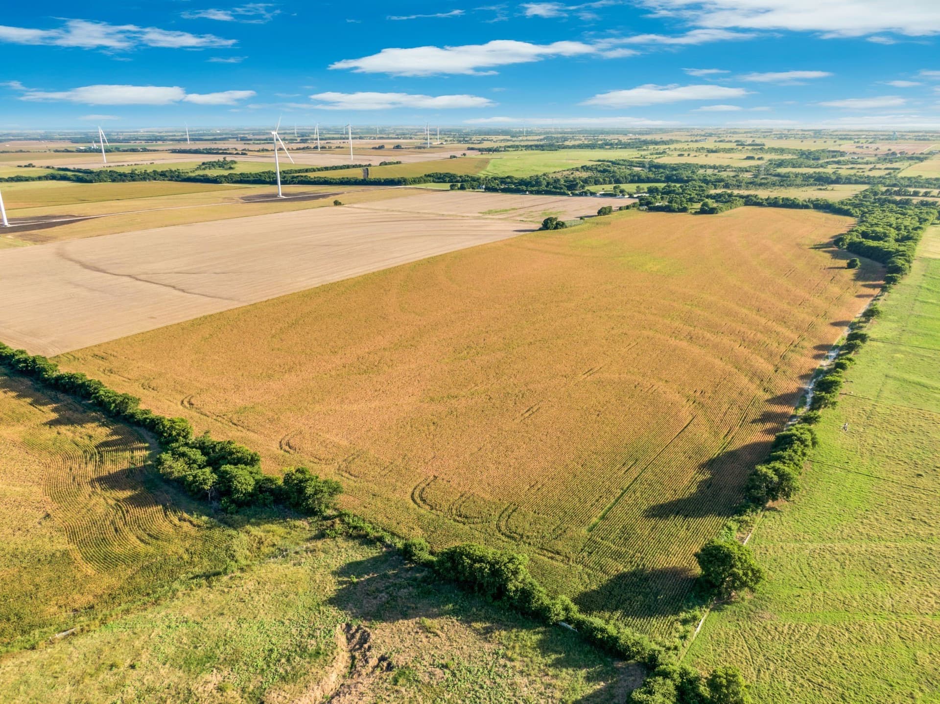 84 acres in Hill County - photo 16