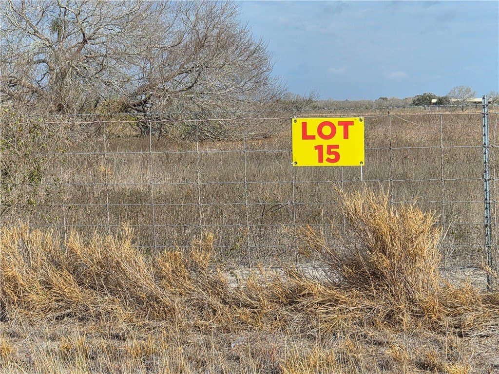 2.51 acres in Kleberg County gallery image 2
