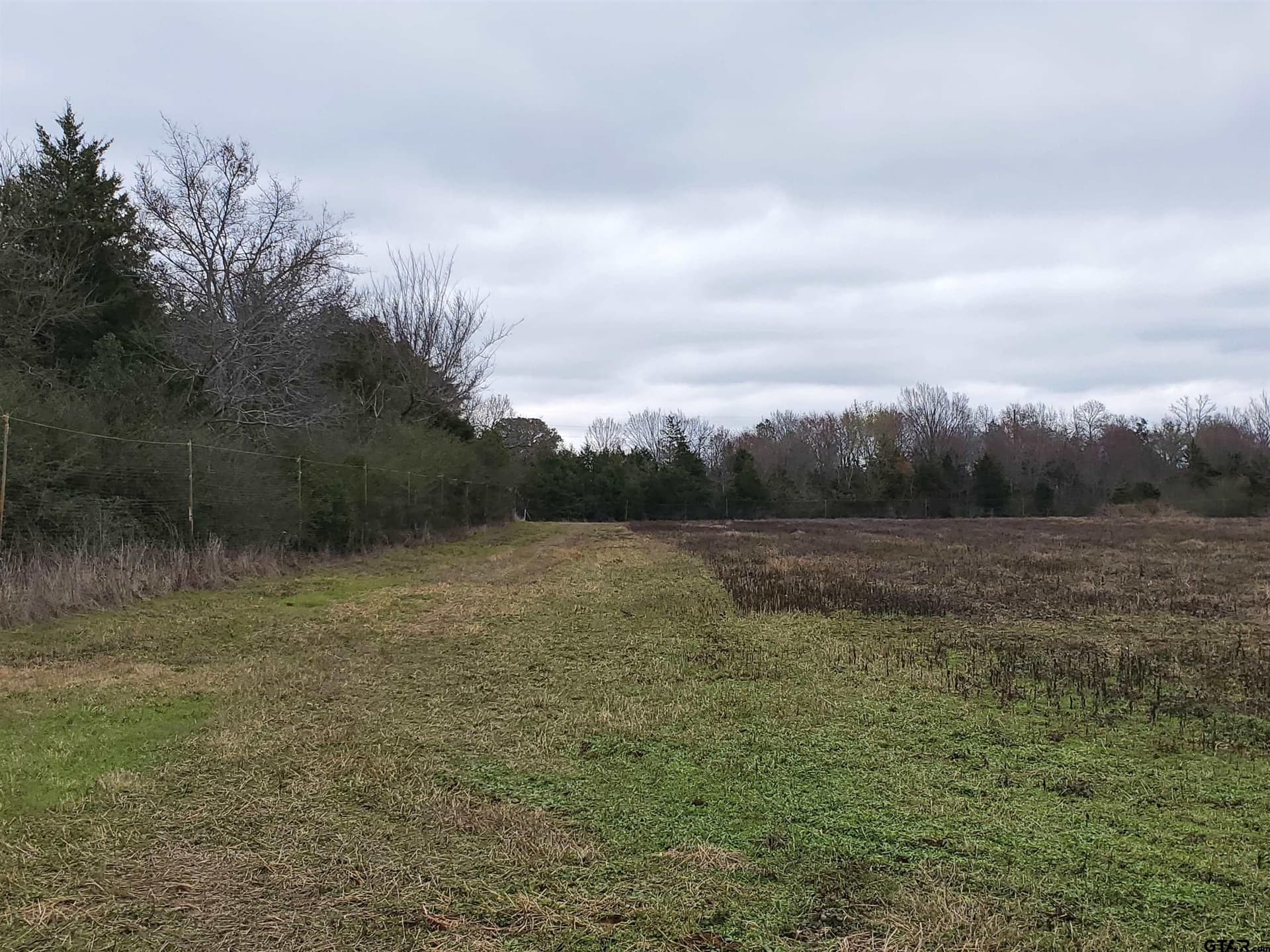 80.01 acres in Cherokee County gallery image 4