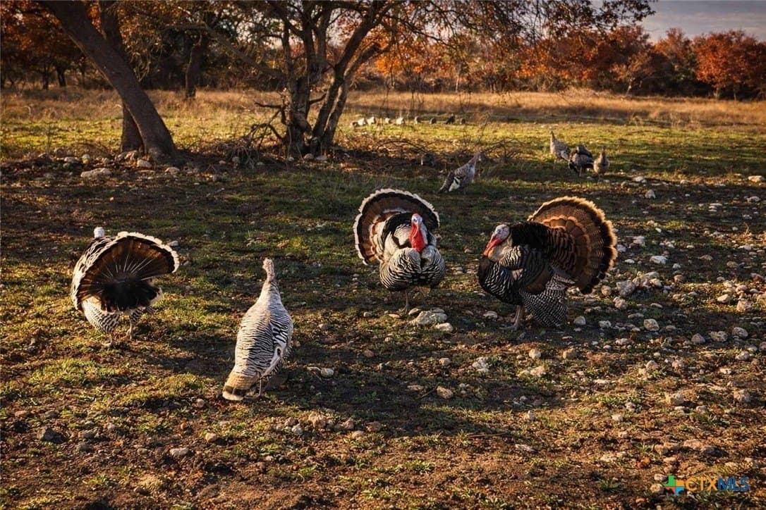 47.13 acres in Hamilton County featured view