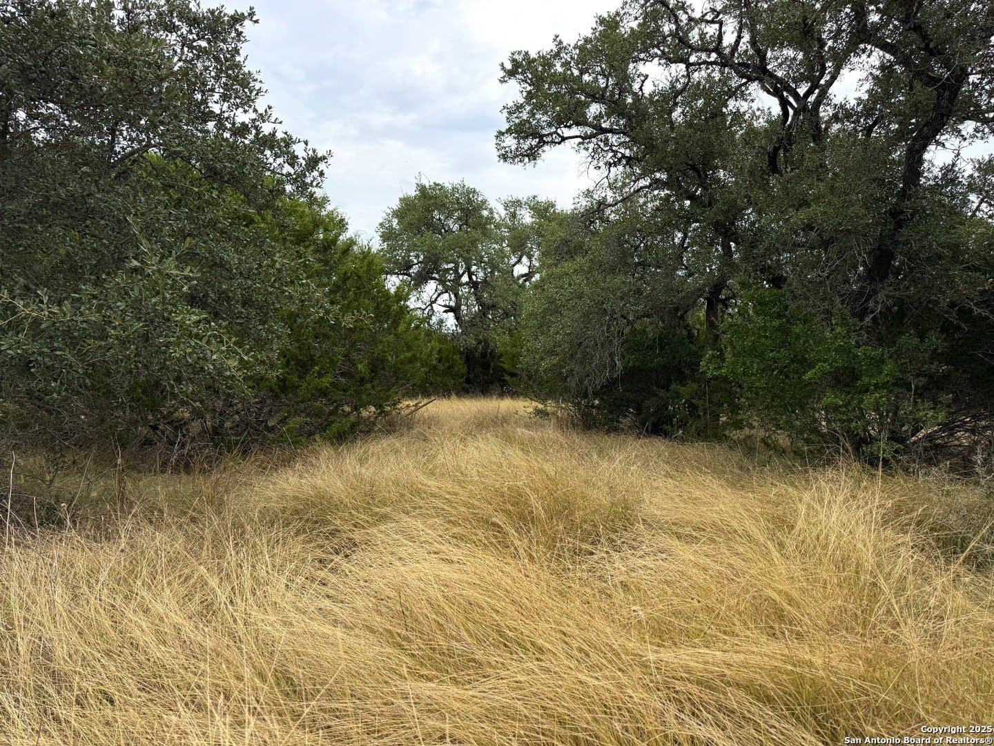 0.2 acres in Blanco County - photo 7
